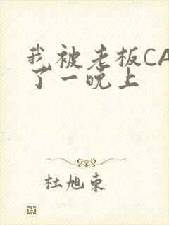 我被老板CAO了一晚上