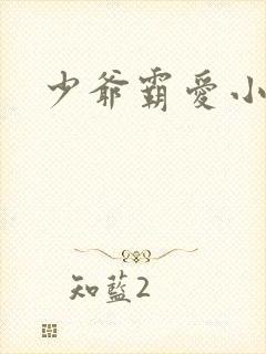 少爷霸爱小丫头