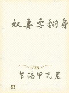 奴妻要翻身封面