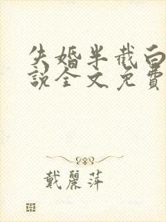 失婚半截白菜小说全文免费阅读