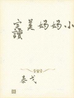 完美妈妈小说阅读封面