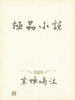 极品小说