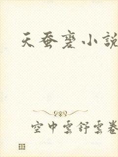 天蚕变小说