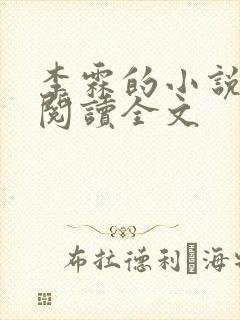 李霖的小说免费阅读全文封面