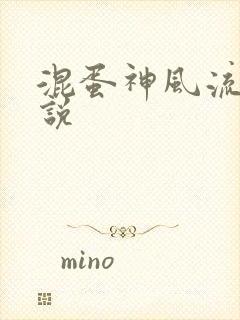 混蛋神风流史小说