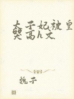 太子妃被皇上c哭高h文