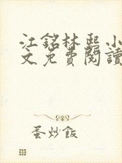 江铭林熙小说全文免费阅读