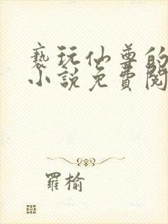 亵玩仙尊的道侣小说免费阅读封面
