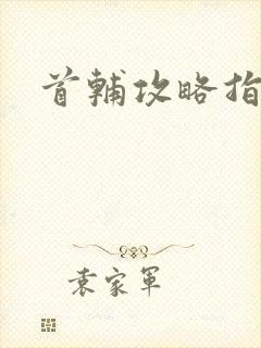 首辅攻略指南