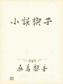 小说楔子