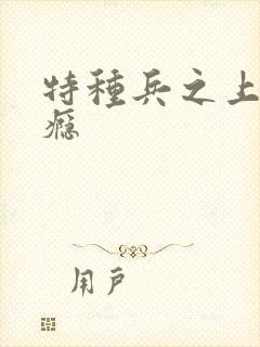 特种兵之上你成瘾封面