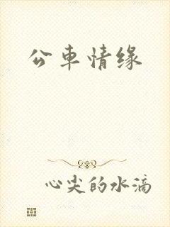 公车情缘