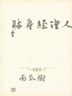 贴身经理人txt