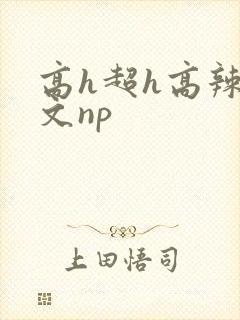 高h超h高辣h文np