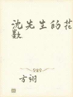 沈先生的花式调数封面