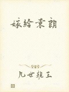 嫁给袁朗