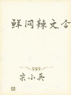 鲜网辣文合集