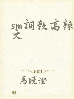 sm调教高辣h文