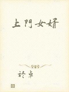 上门女婿封面