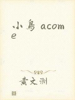 小鸟 acome封面