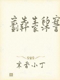 宋先生的宠妻计划轩家沐言