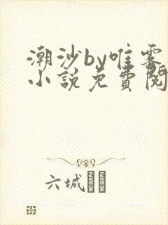 潮沙by唯雾的小说免费阅读笔趣阁封面