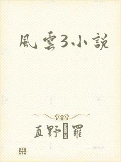 风云3小说