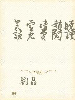 吴雪晴赵晓东小说免费阅读封面