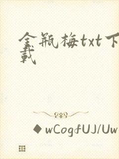 金瓶梅txt下载封面