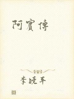 阿宾传封面