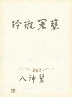 玲珑冤孽封面