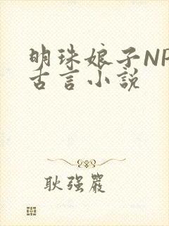 明珠娘子NPC古言小说