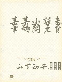 某某小说未删减笔趣阁免费阅读