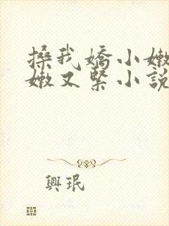 搡我娇小嫩苞又嫩又紧小说封面