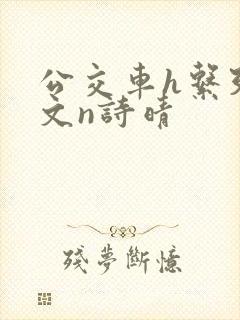 公交车h系列辣文n诗晴