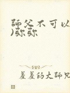 师父不可以(限)弥弥封面