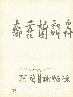 太子妃和皇帝在御花园叫什么小说封面