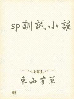 sp训诫小说