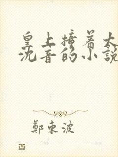 皇上撞着太子妃沈音的小说叫什么
