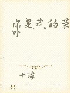 你是我的荣耀番外