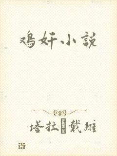 鸡奸小说