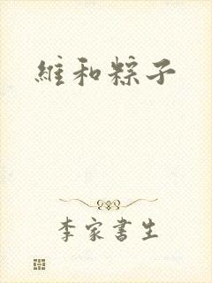 维和粽子