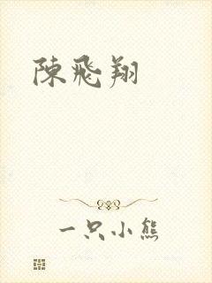 陈飞翔封面