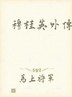 穆桂英外传