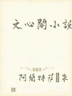 文心阁小说
