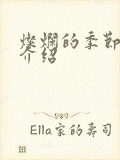 灿烂的季节剧情介绍封面