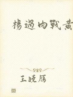 杨过肉战黄蓉