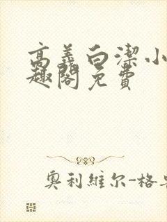 高义白洁小说笔趣阁免费