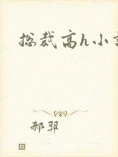 总裁高h小说封面