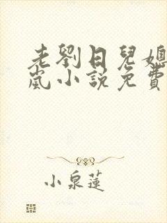 老刘日儿媳妇张岚小说免费阅读